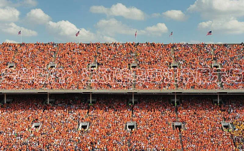 oety欧亿体育官网阿里尔公司荣誉殿堂：运动馆赛事证书展示与