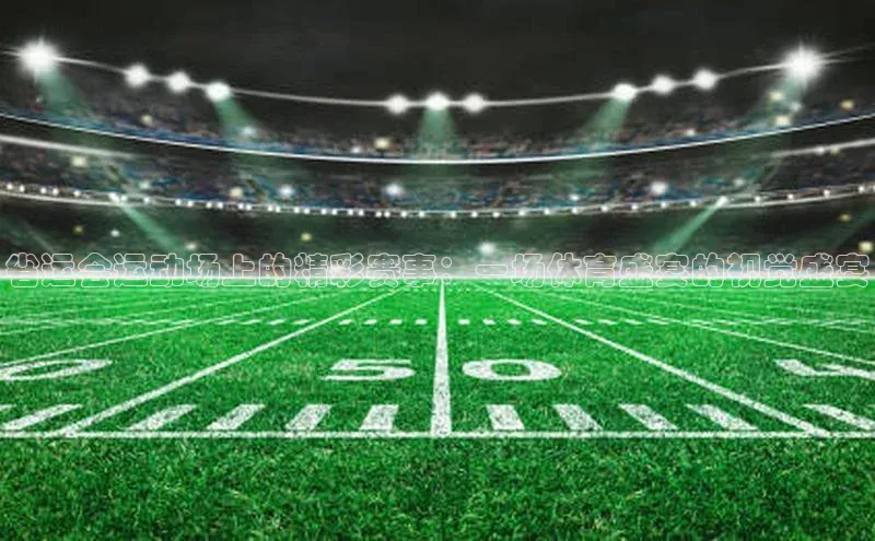 欧亿体育下载官方网站慧博云通省运会运动场上的精彩赛事：一场体育盛宴的视觉盛宴