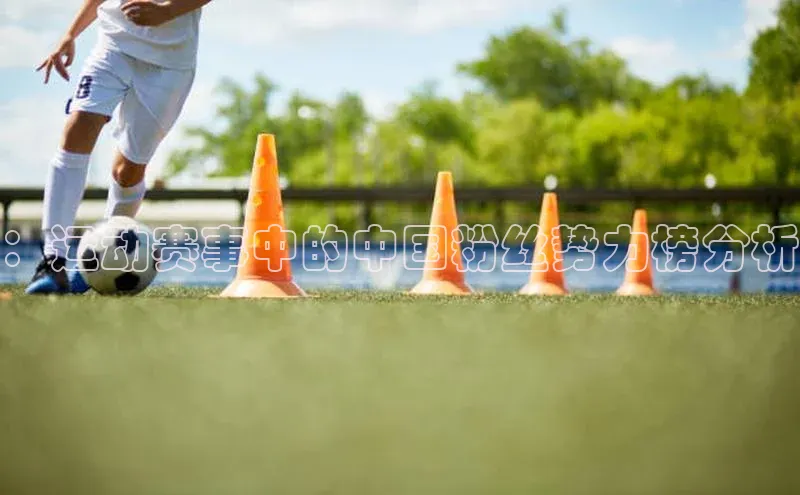 oety欧亿体育下载猫眼：运动赛事中的中国粉丝势力榜分析