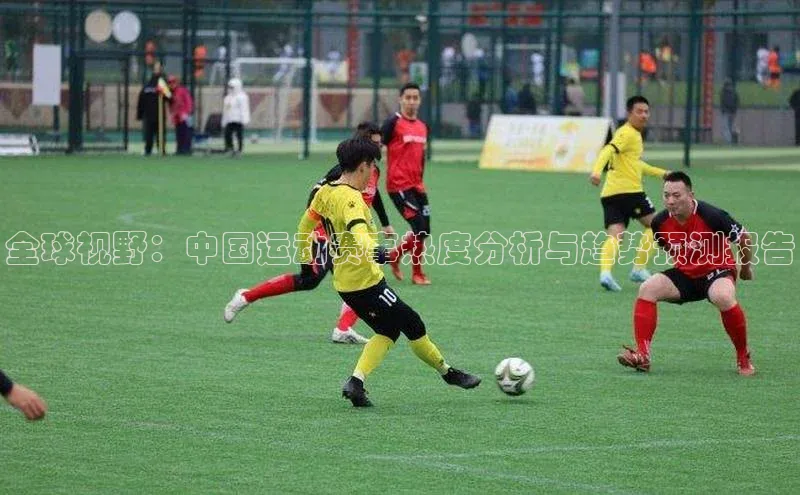 全球视野：中国运动赛事热度分析与趋势预测报告