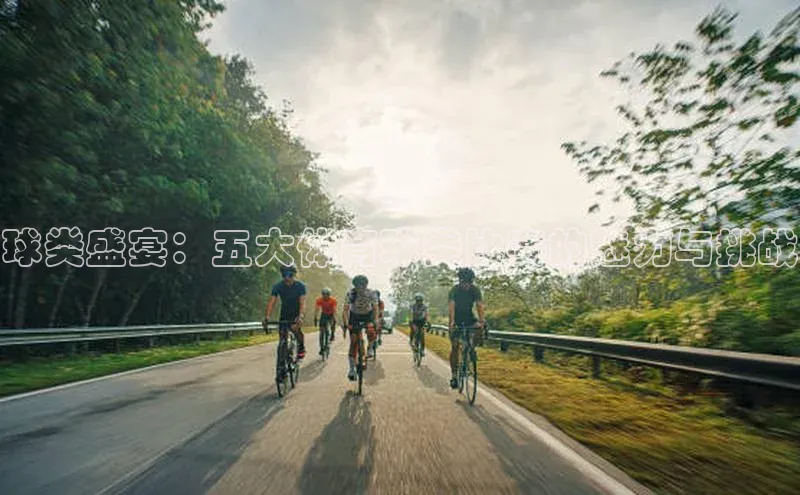 球类盛宴：五大体育球类比赛的魅力与挑战