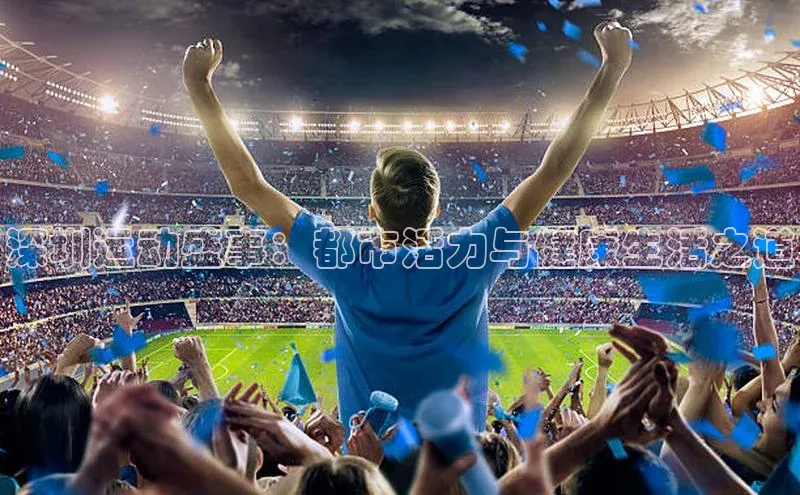 深圳运动盛事：都市活力与健康生活之道