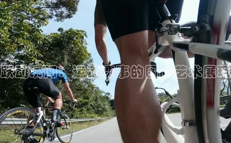 跃动瞬间：运动赛事的图画艺术展现