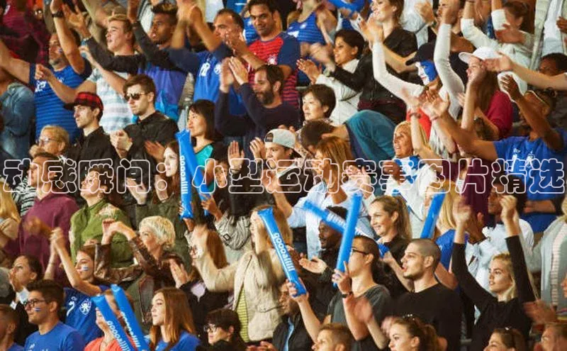 动感瞬间：小型运动赛事图片精选