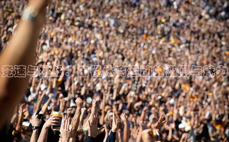 竞速与挑战：田径体育运动的极限与魅力