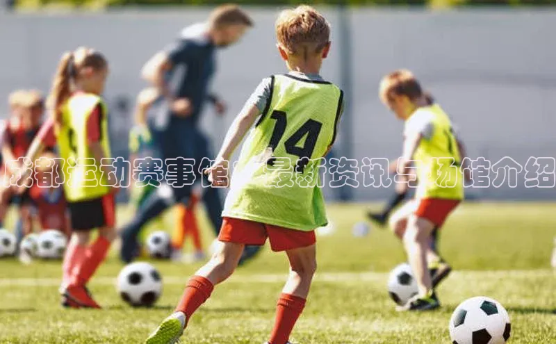 成都运动赛事馆：最新资讯与场馆介绍