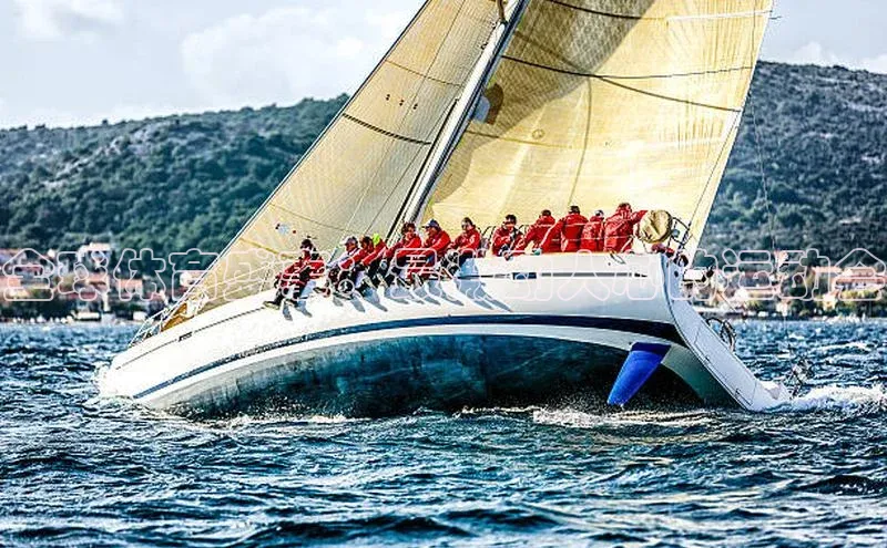 全球体育盛事：最激动人心的运动会