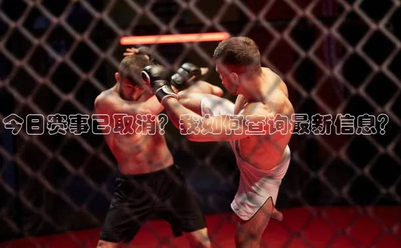 今日赛事已取消？我如何查询最新信息？