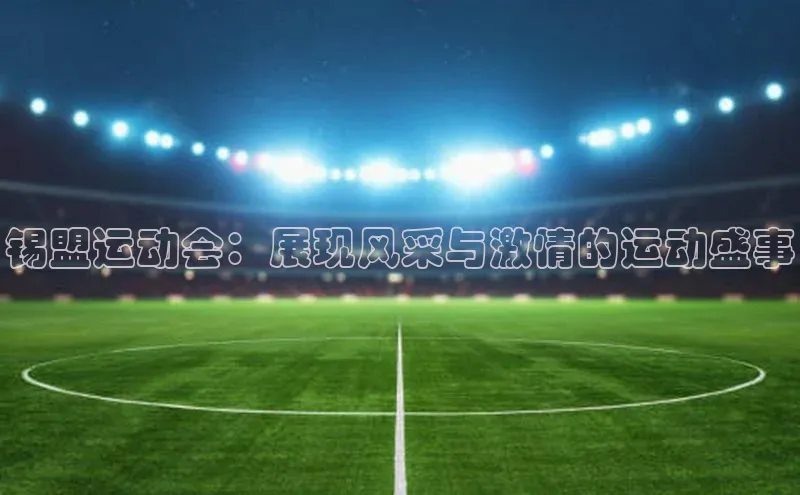 锡盟运动会：展现风采与激情的运动盛事