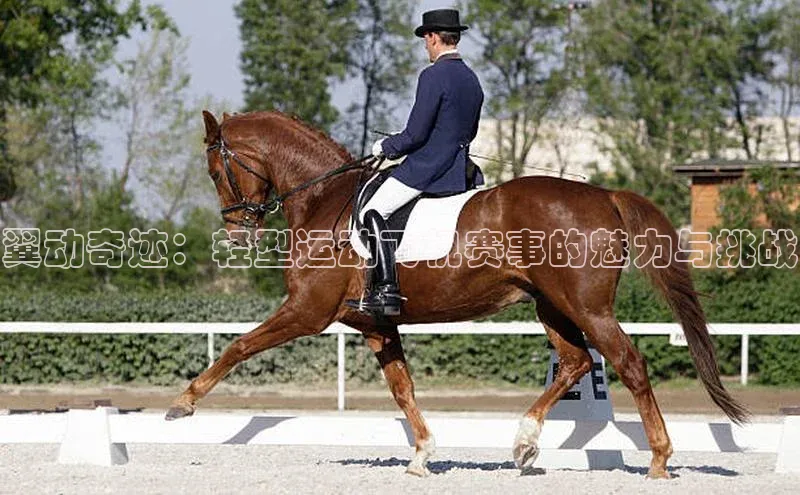 翼动奇迹：轻型运动飞机赛事的魅力与挑战