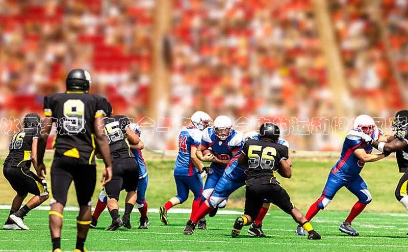 冰雪荣耀：冬奥会与冬残奥会中的运动健将风采