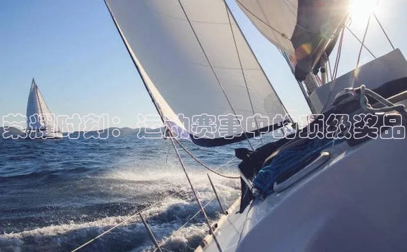 荣耀时刻：运动赛事中的顶级奖品