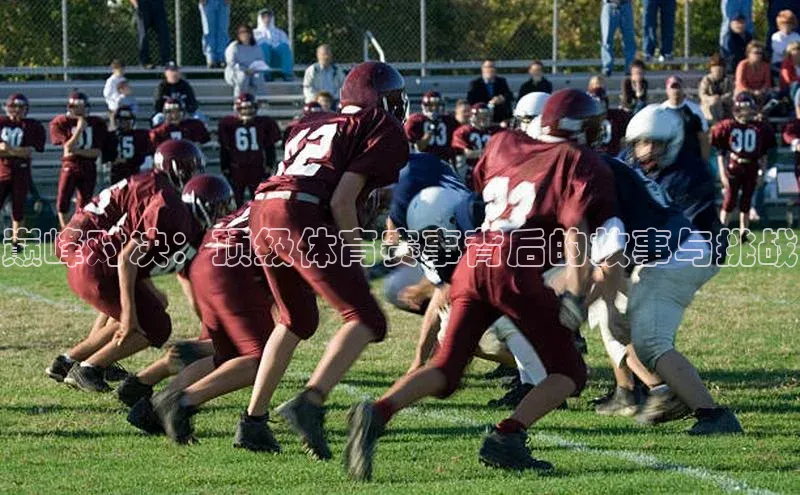 巅峰对决：顶级体育赛事背后的故事与挑战